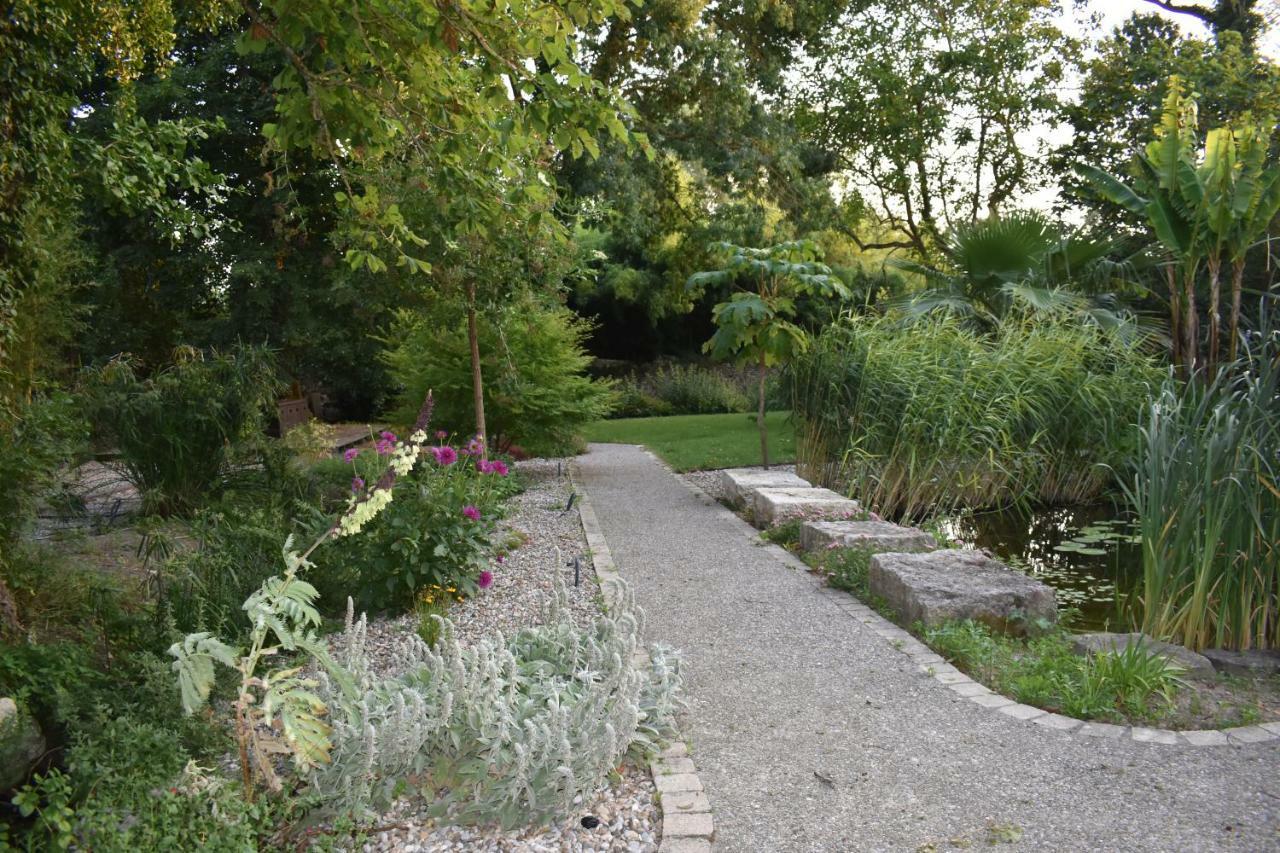 Apartament Domaine Du Fresquel Pezens Zewnętrze zdjęcie