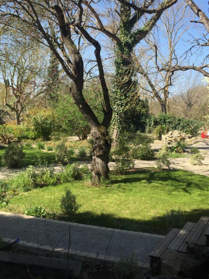 Apartament Domaine Du Fresquel Pezens Zewnętrze zdjęcie