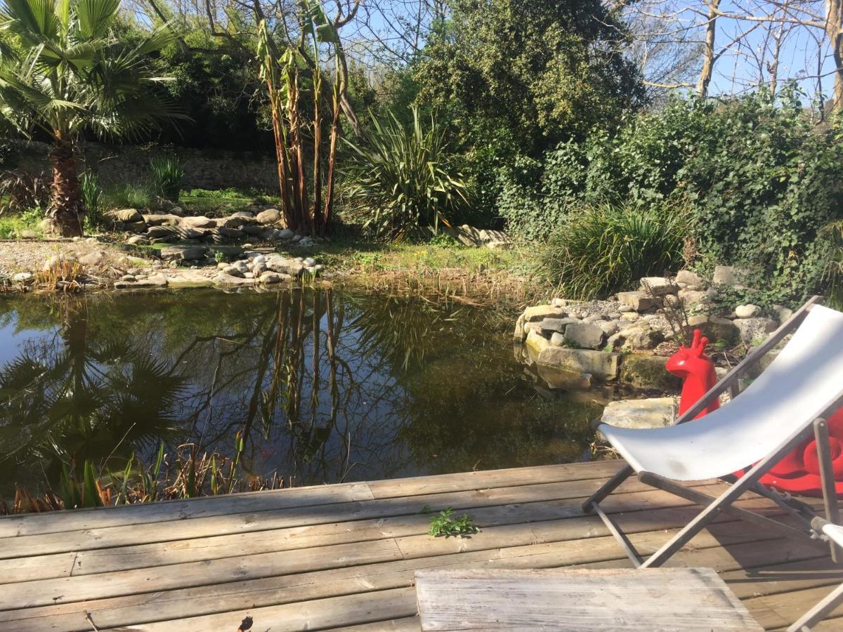 Apartament Domaine Du Fresquel Pezens Zewnętrze zdjęcie